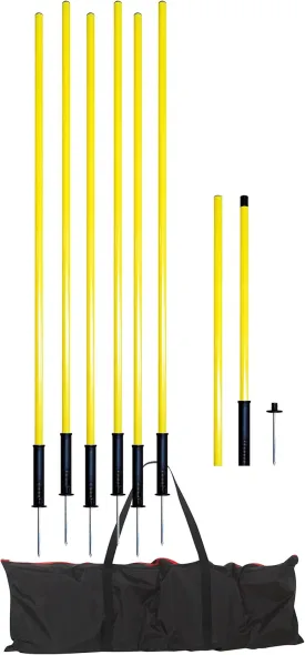 American Challenge Portable Coaching Poles with Spring Base